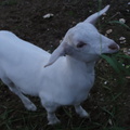 DSC01093